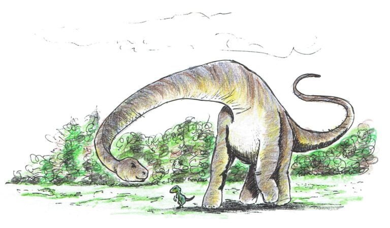 Wydawnictwo Raptor - Dino